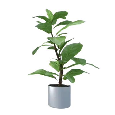 imgi_31_Watering Planters.webp