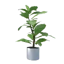 imgi_31_Watering Planters.webp